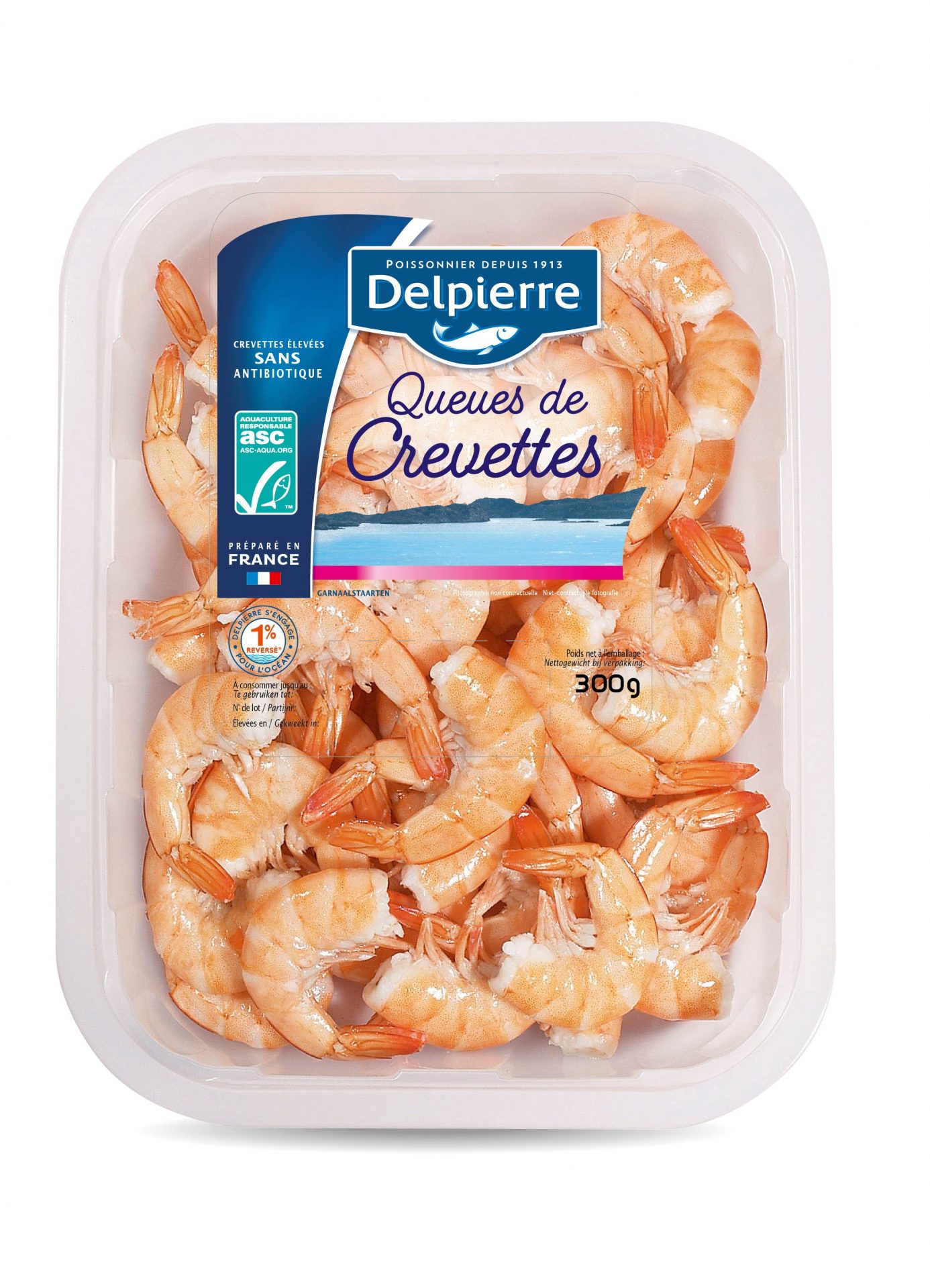 QUEUES DE CREVETTES