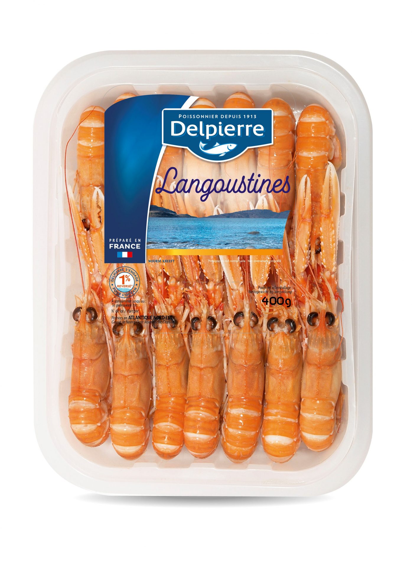 LANGOUSTINES ENTIERES