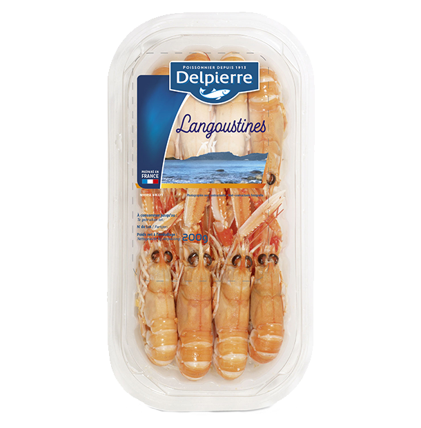 LANGOUSTINES ENTIERES