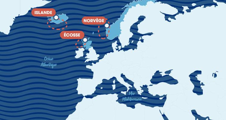 Harengs-Maps-Fiches-Produits