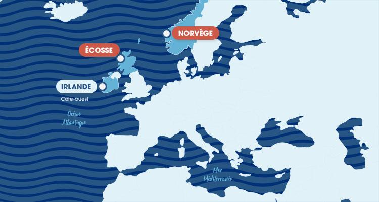 Saumon-Bio-Maps-Fiches-Produits