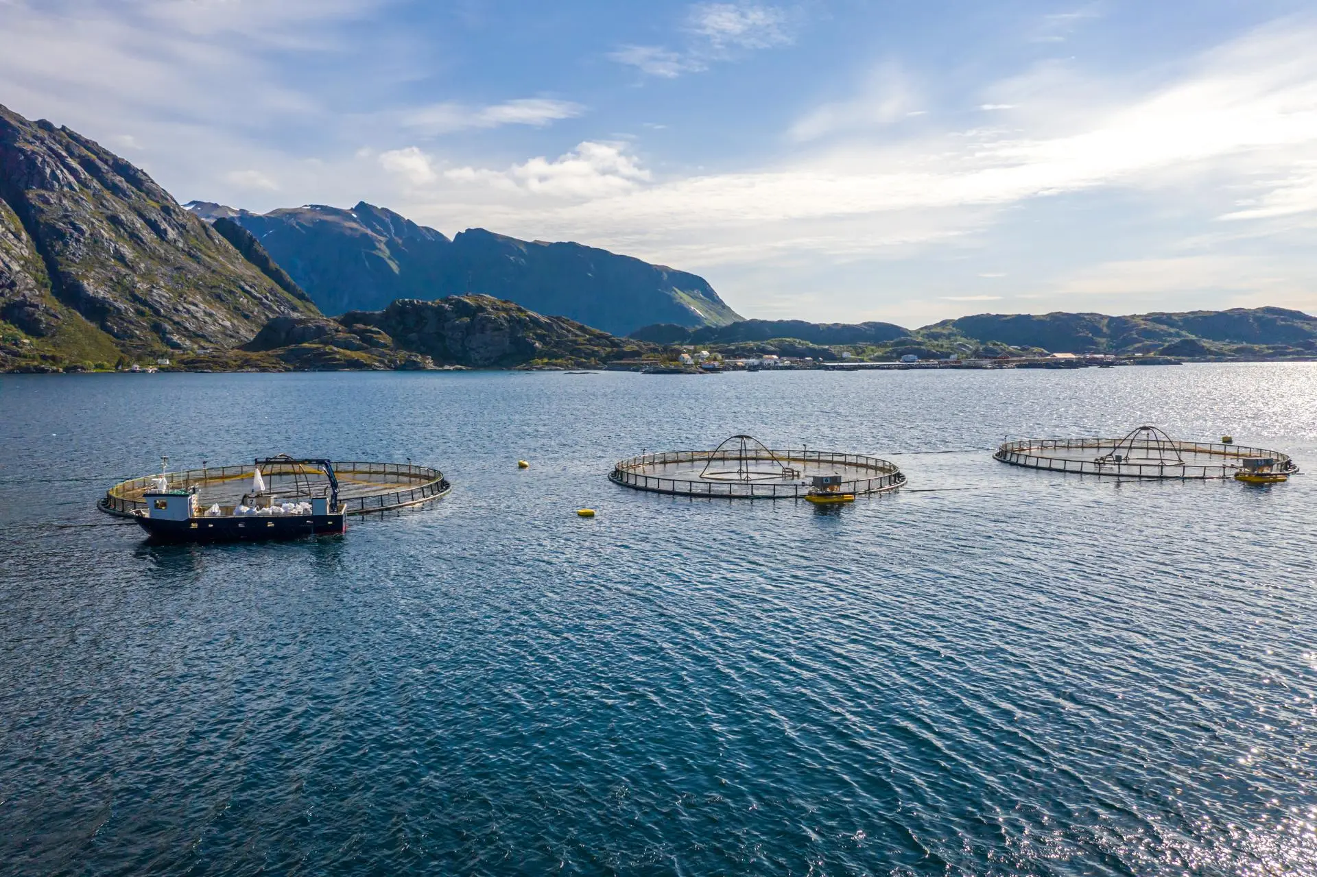 peche-au-saumon-d-elevage-en-norvege-la-norvege-est-le-plus-grand-producteur-de-saumon-d-elevage-au-monde-avec-plus-d-un-million-de-tonnes-produites-chaque-annee