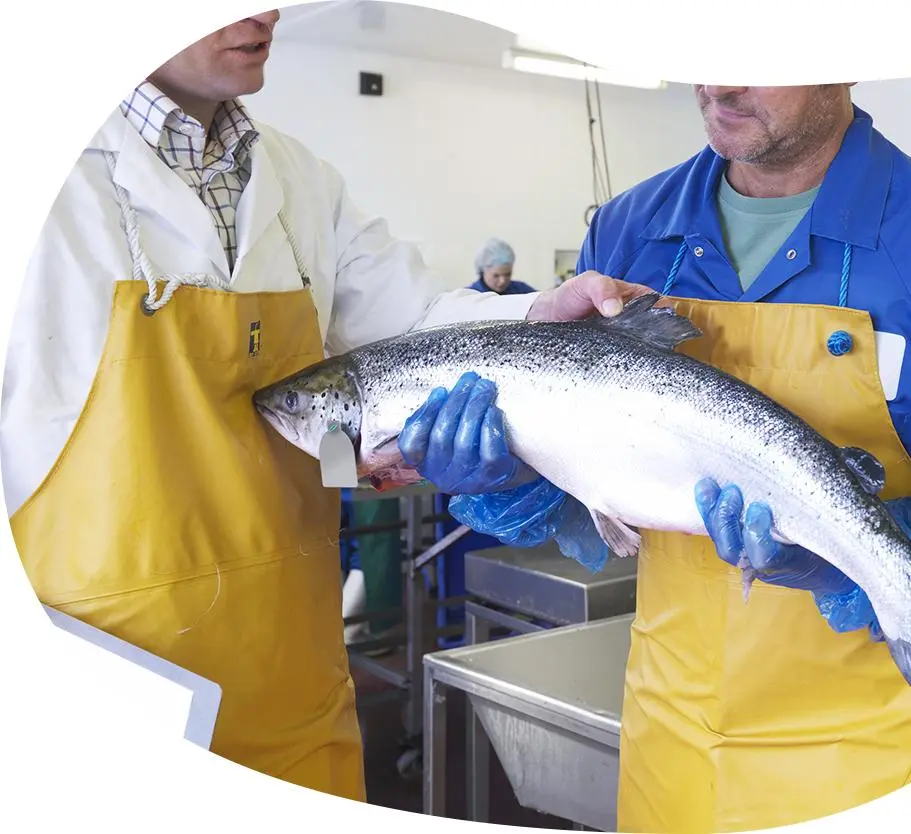 118e0243a1d58f20832a20ddd8d9025c9fbe478f