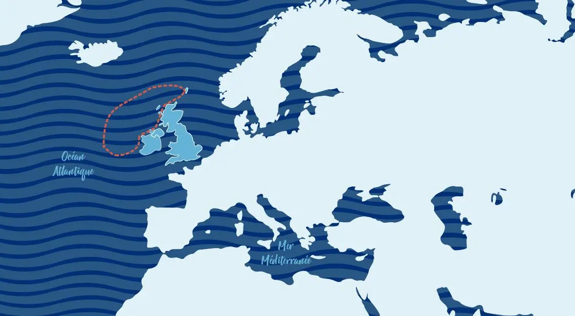 fonds-de-carte-LANGOUSTINE-1