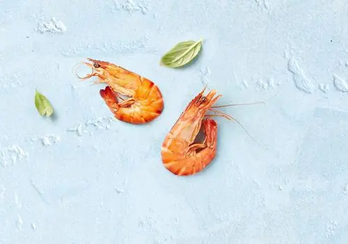 Nos crevettes et gambas