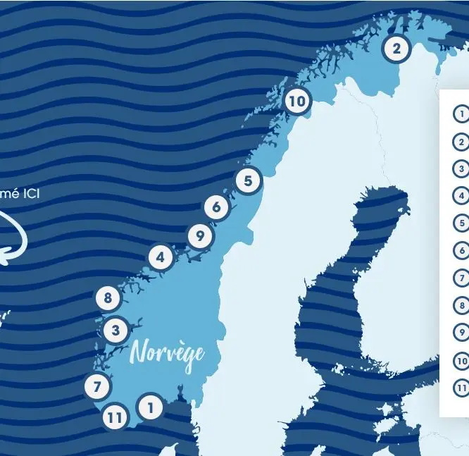 02-Fond-de-carte-saumon-norvege-pack-pedago